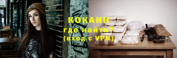 крисы Коряжма