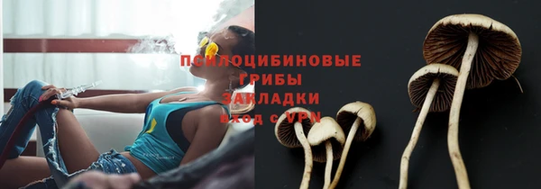 крисы Коряжма