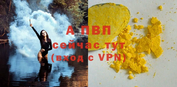 крисы Коряжма