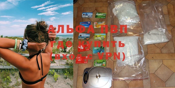 крисы Коряжма