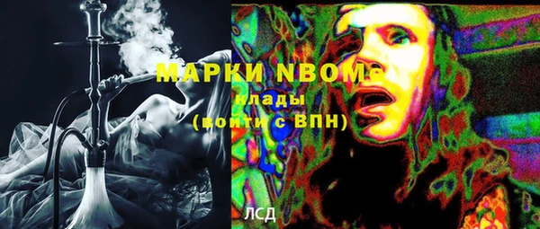 крисы Коряжма