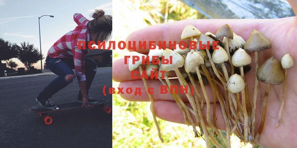 крисы Коряжма