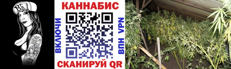 Купить где  Новая Усмань  Шишки марихуана индика 